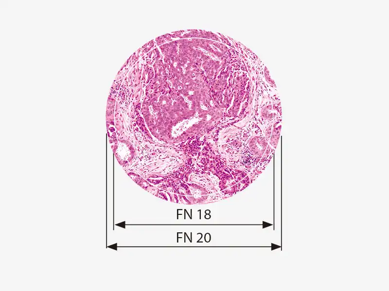 视场数20(FN) 视场数20(FN)