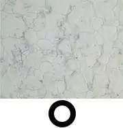 不锈钢 — 明场