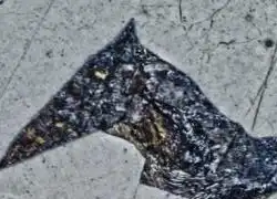 使用HDR增强对比度。