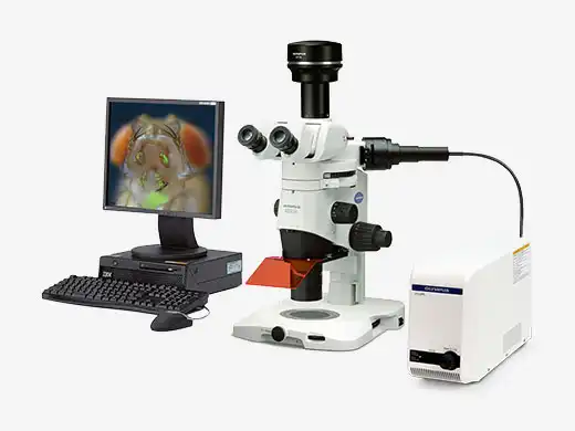 数字成像与存档